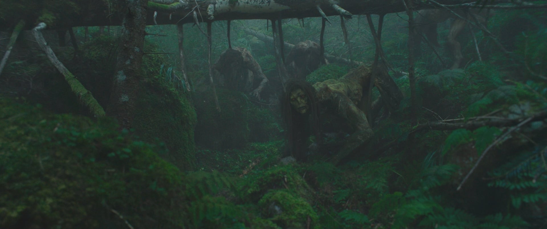 Hope still of aliens in a forest.