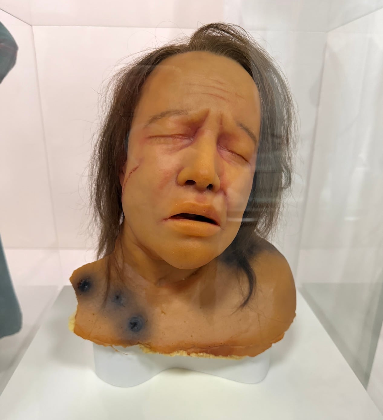 Horror Show Academy Museum Psych 1