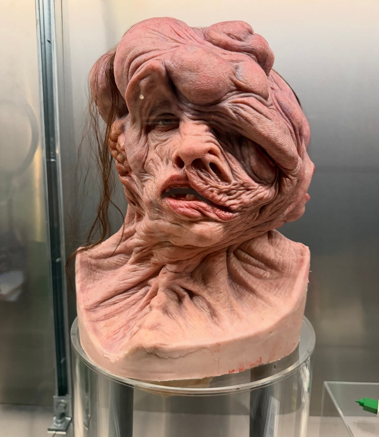 Horror Show Academy Museum Science 2