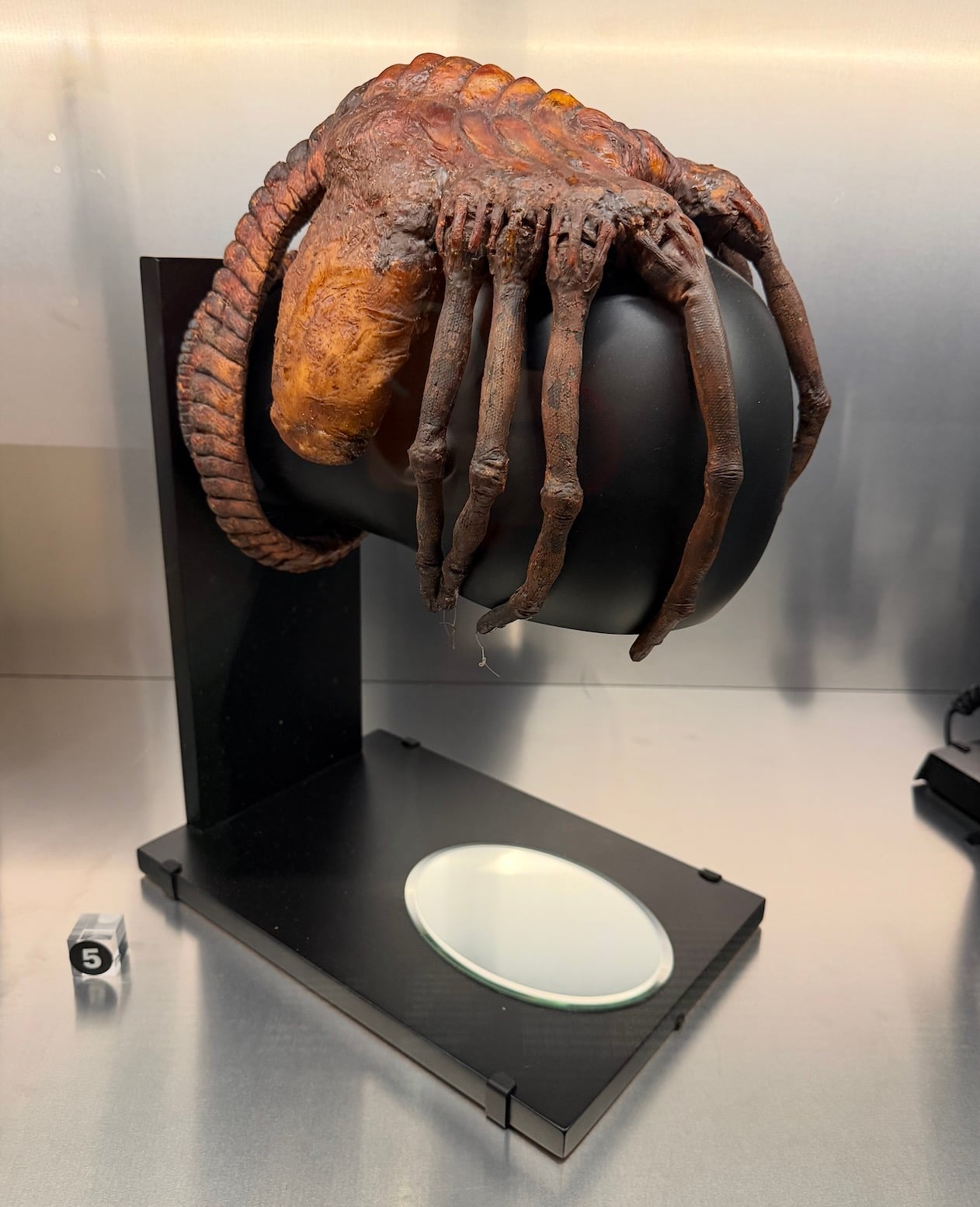 Horror Show Academy Museum Science 4